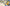 Blog cover for LEMON Review, fresh summer lemon aesthetic with whole and sliced lemons, glass drink jar on blue-white striped cloth, sunny beach background.