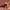 Rose toy collection banner featuring elegant suction pleasure products