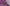 Video alt text
