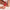 Modern vibrator collection banner for personalized pleasure experiences