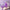 Couples collection banner designed for shared intimate connection