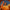 Velvet Plus (Orange)